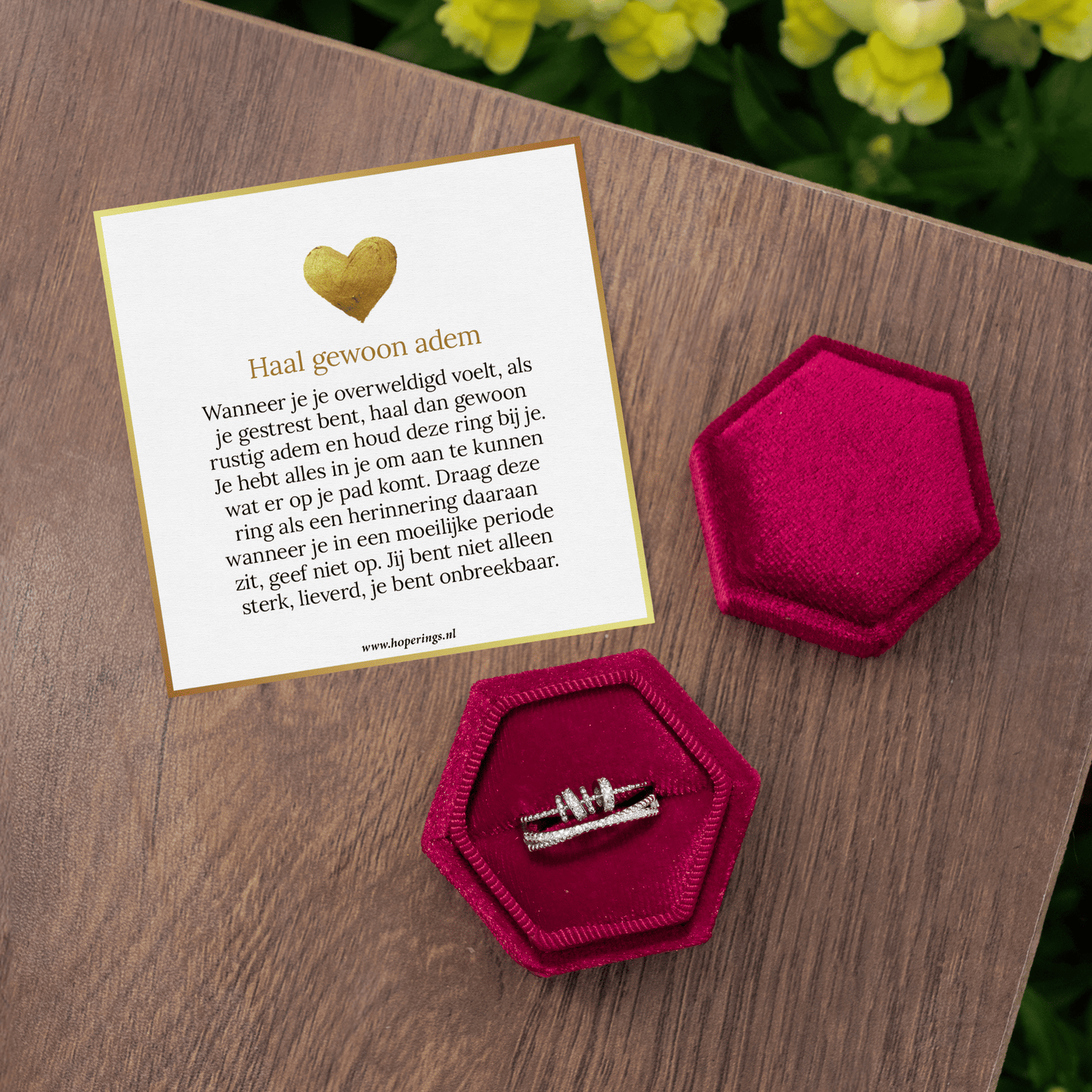 Zilveren Fidget-Ring