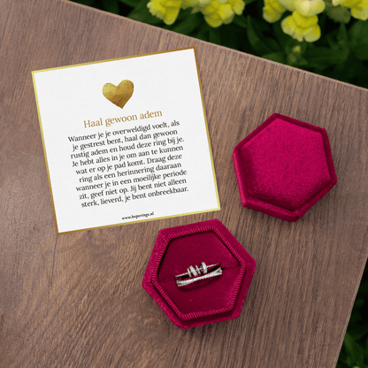 Zilveren Fidget-Ring